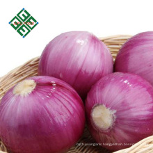 cheap price china fresh red onion wholesale